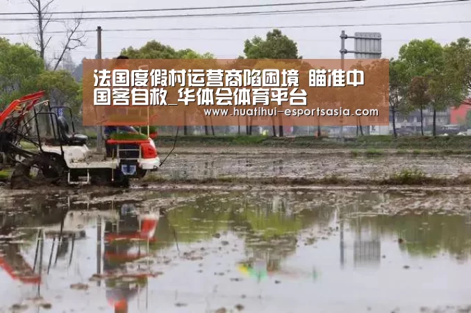 华体会体育平台