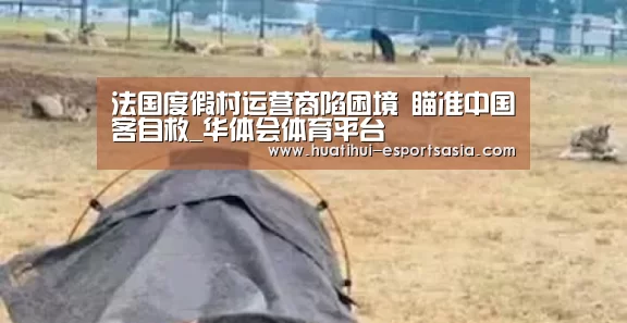 华体会体育平台
